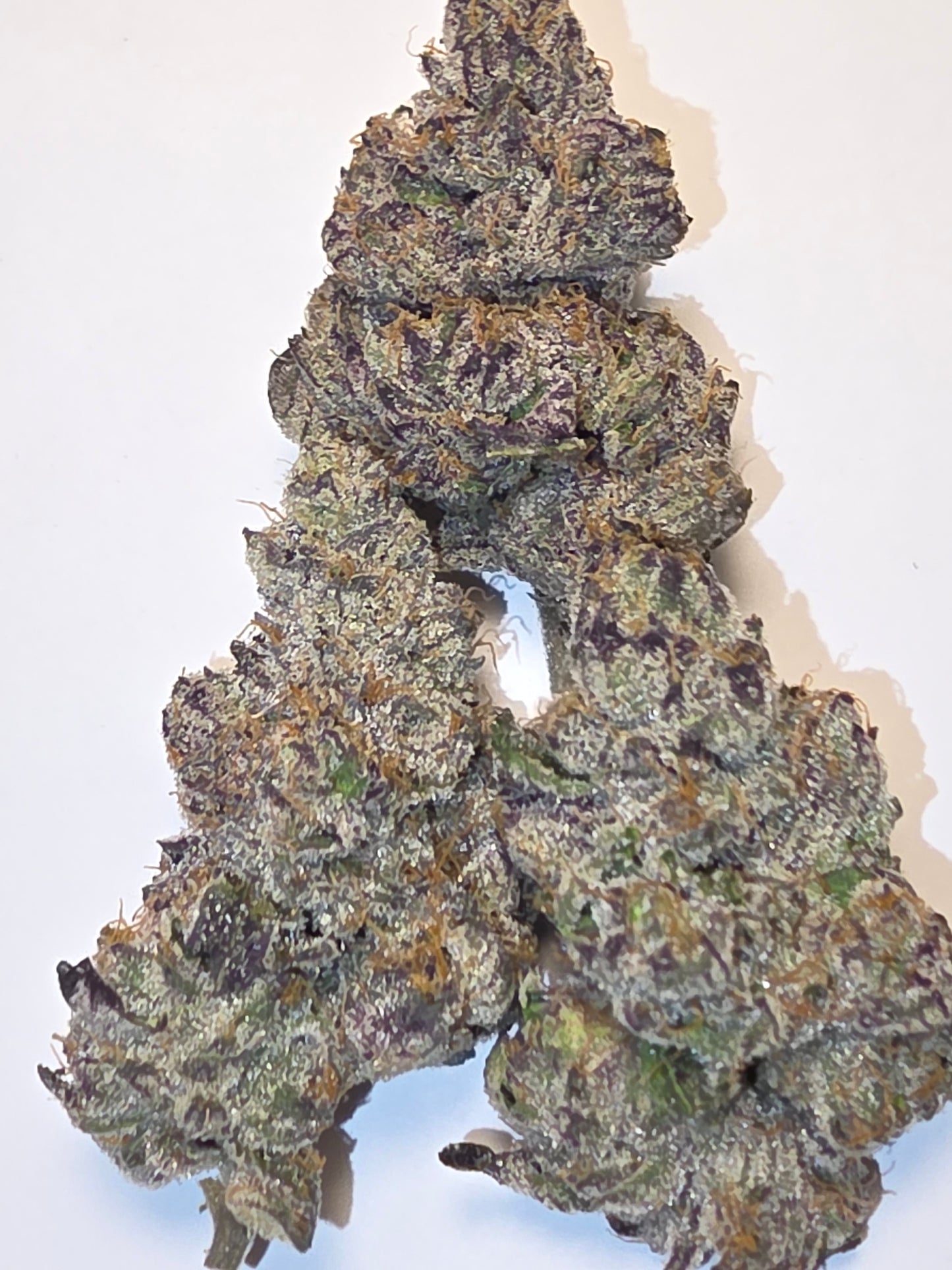 LightWork: Toad Venom : 14g Indoor Exotic Bigs