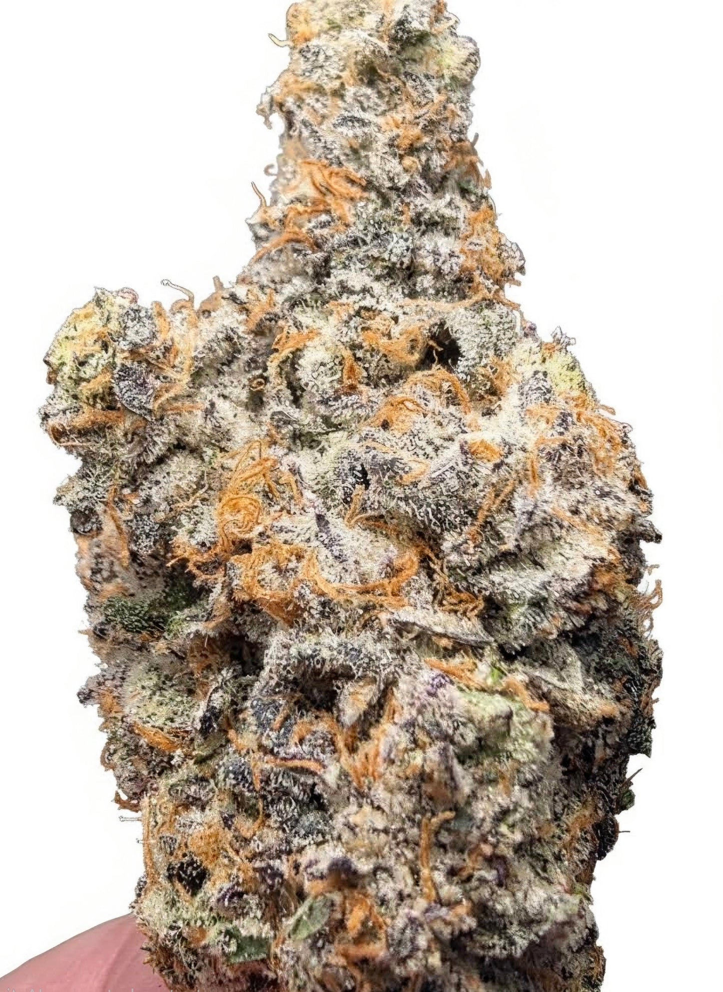 LightWork - Acetone Kush - 14g Exotic Indoor Flower
