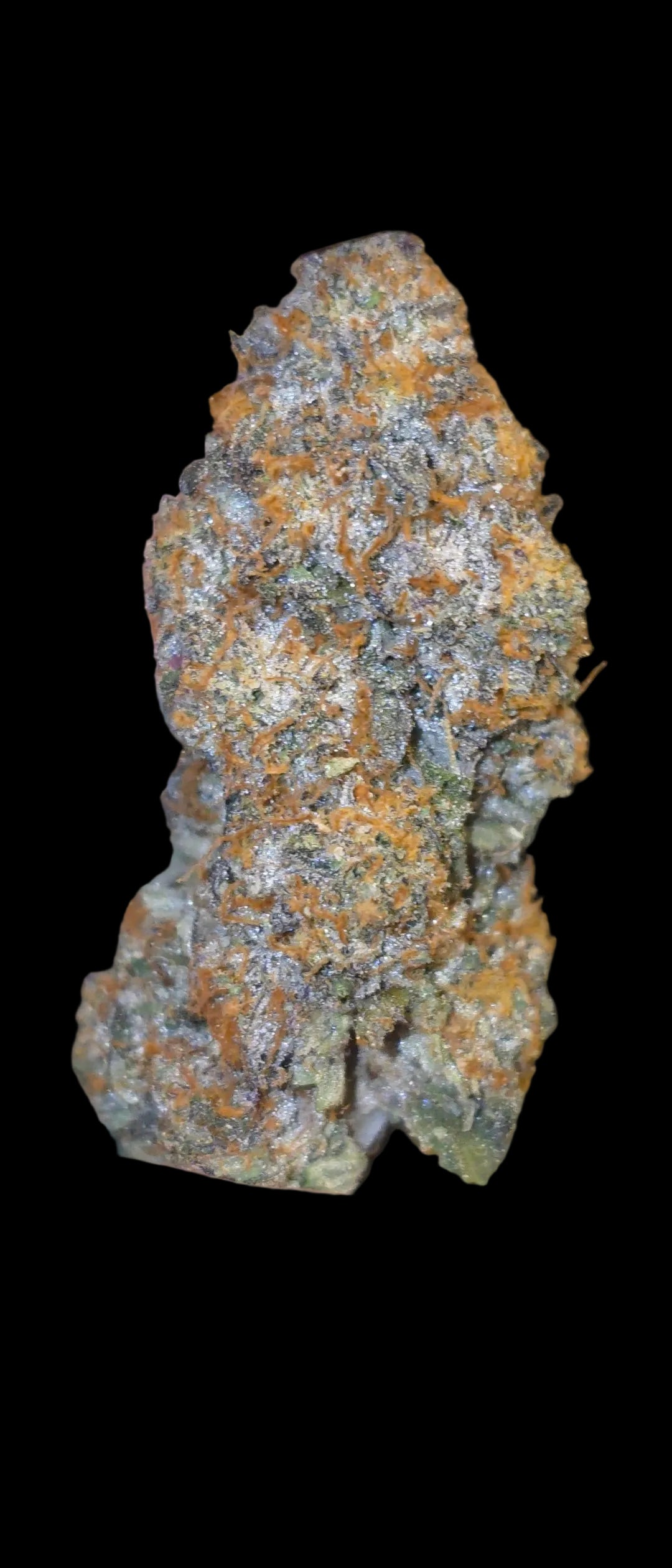 LightWork Exclusive : Nightshade : 14g Indoor Exotic Flower