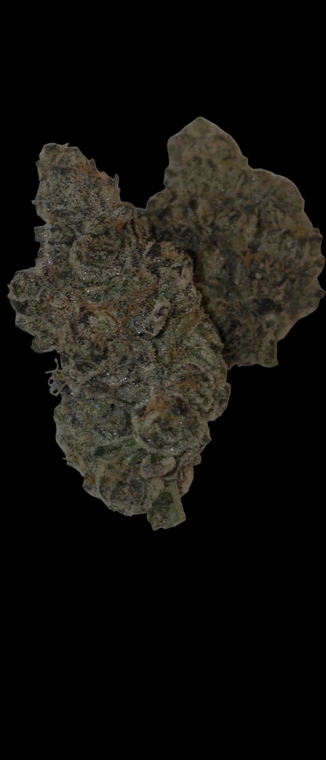 LightWork - Gelato Mintz - 14g Indoor Exotic Flower (BIGS)