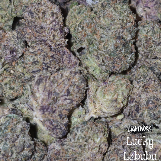 LIGHTWORK - LUCKY LABUBBU - 14G INDOOR EXOTIC SMALLS