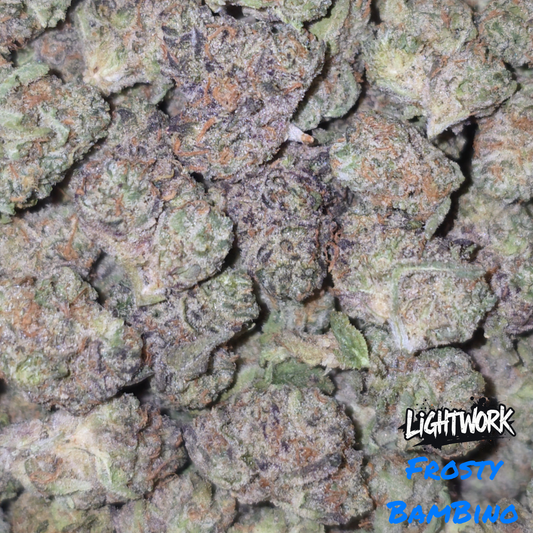 LIGHTWORK - FROSTY BAMBINO - 14G INDOOR EXOTIC SMALLS