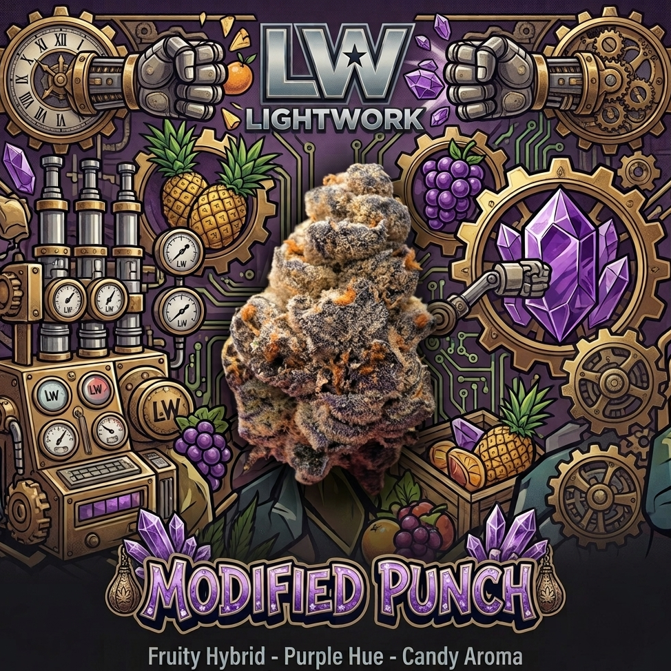 LightWork Exclusive- Modified Punch -7g EXOTIC INDOOR BIGS