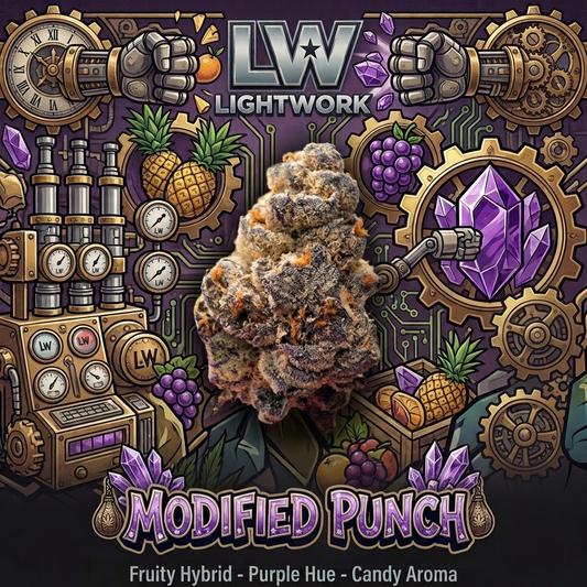 LightWork Exclusive- Modified Punch -7g EXOTIC INDOOR BIGS