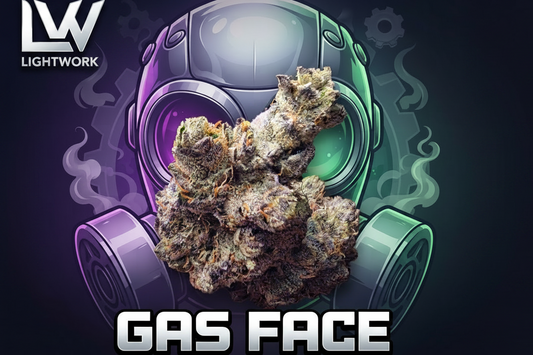 LightWork Exclusive - Gas Face - 14g Exotic Indoor Bigs