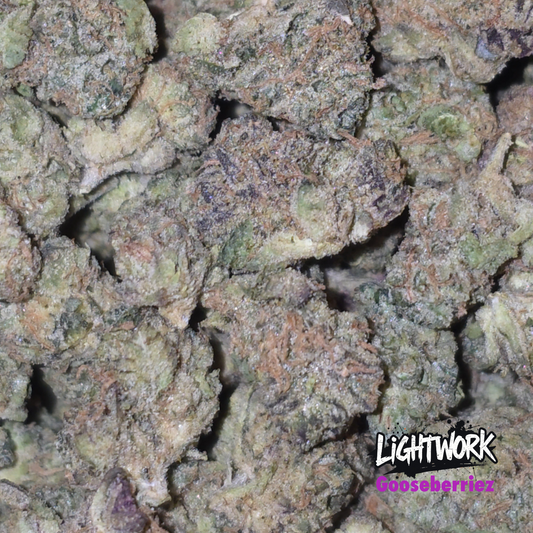 LIGHTWOK - GOOSEBERRIES - 14G INDOOR EXOTIC SMALLS