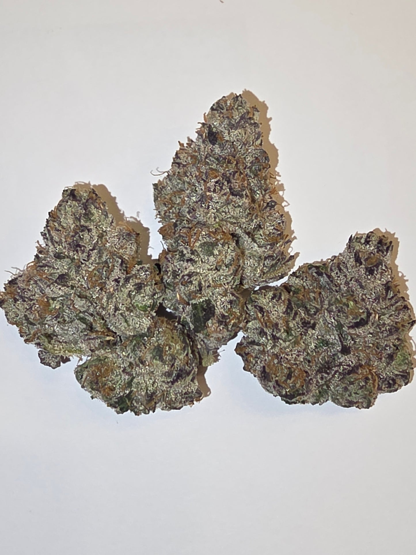 LightWork: Blue Candy Lobster :14g Indoor Exotic Bigs