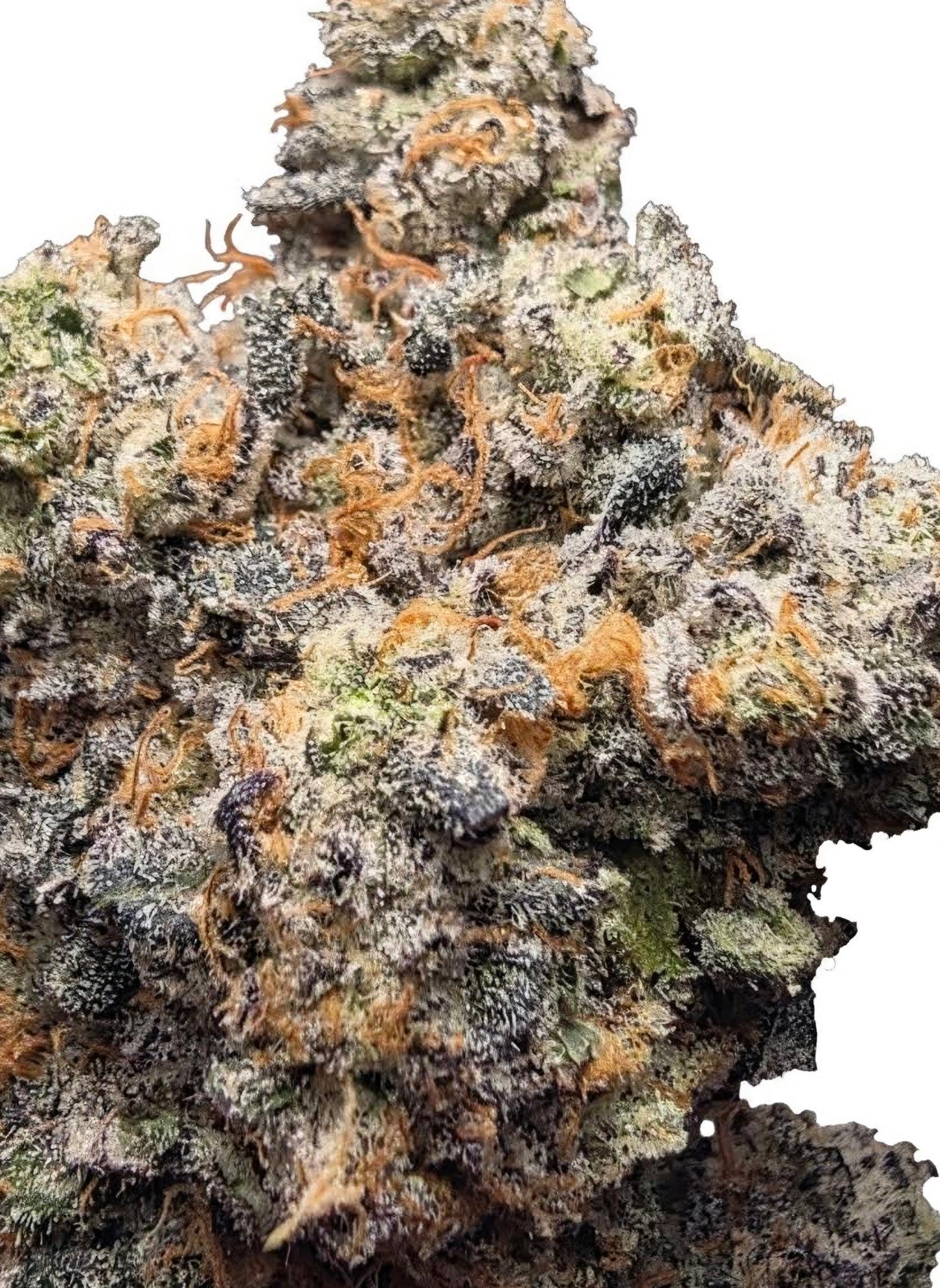 LightWork - Acetone Kush - 14g Exotic Indoor Flower