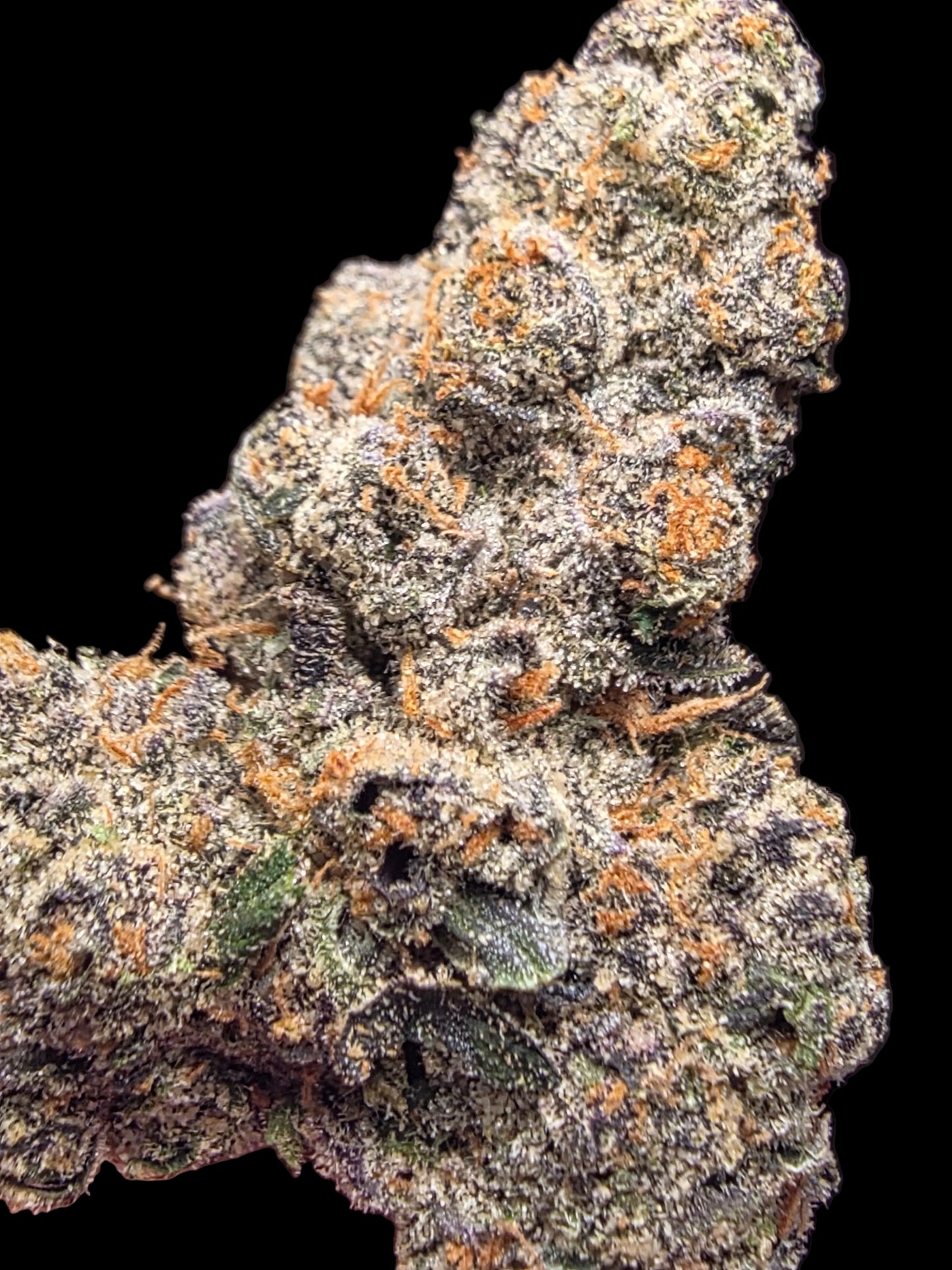 LIGHTWORK EXCLUSIVE - E85 - 7g EXOTIC INDOOR FLOWER
