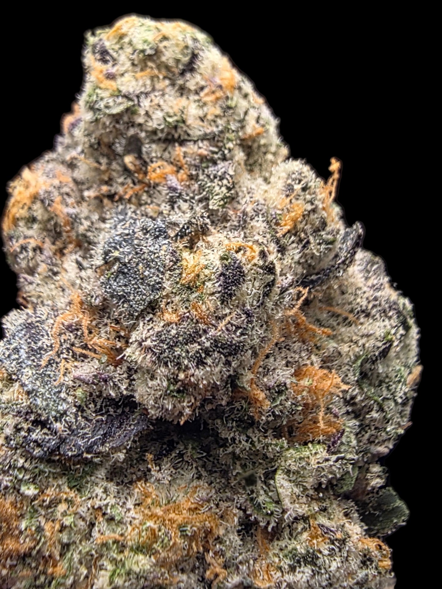 LightWork Exclusive- Garlic Salt - 7g EXOTIC INDOOR (Bigs)