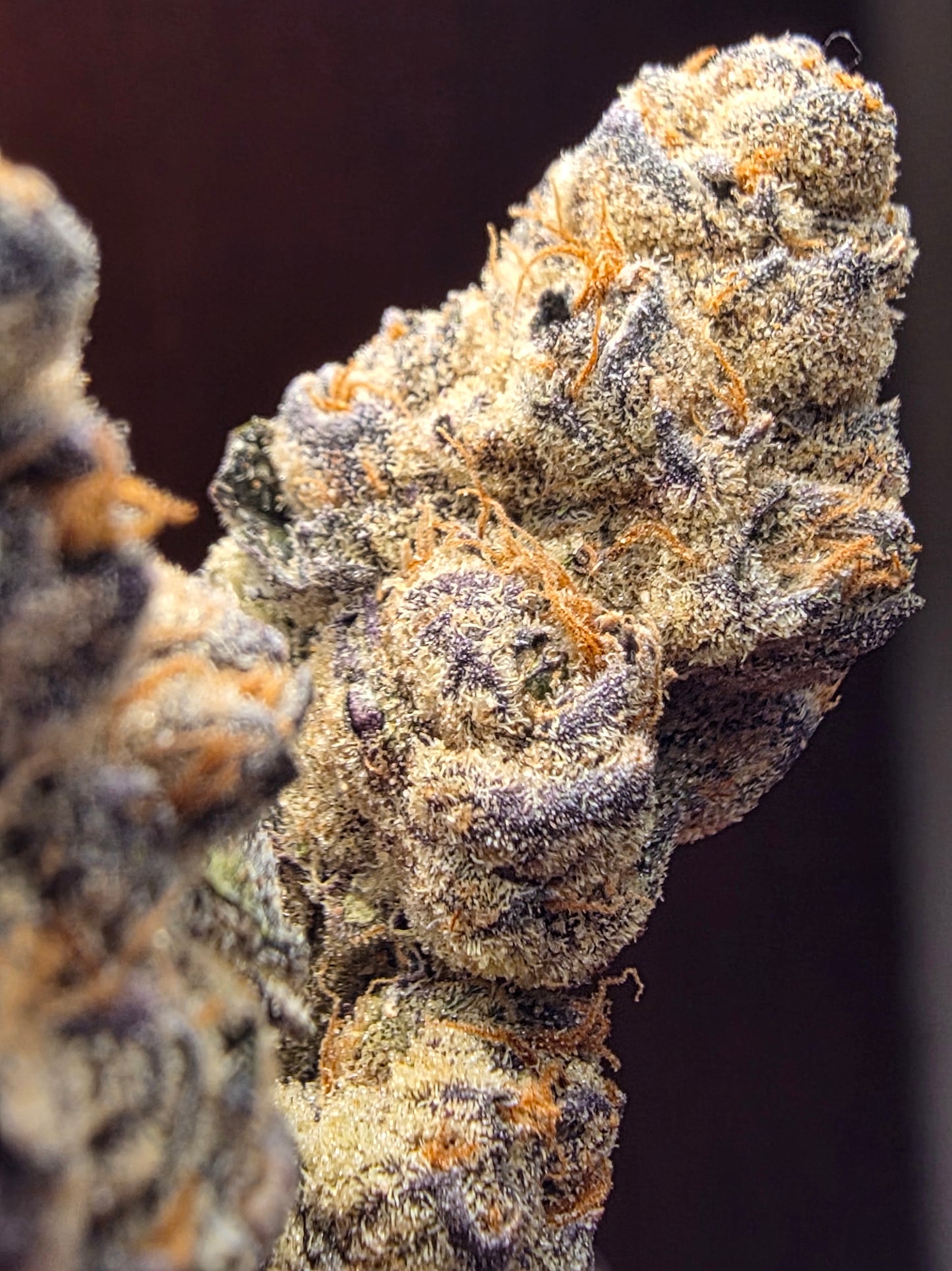 LightWork Exclusive- Modified Punch -7g EXOTIC INDOOR BIGS