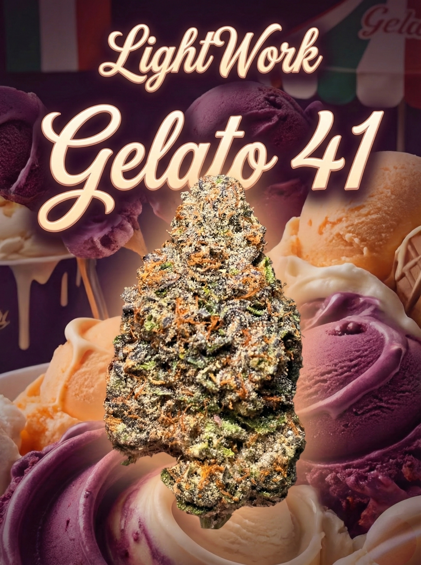 LightWork - Gelato 41 - 14g Indoor Exotic Bigs