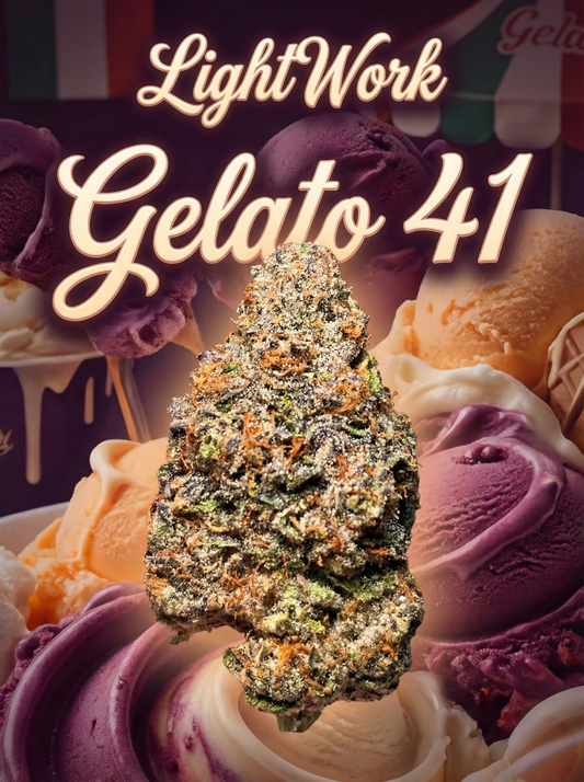 LightWork - Gelato 41 - 14g Indoor Exotic Bigs