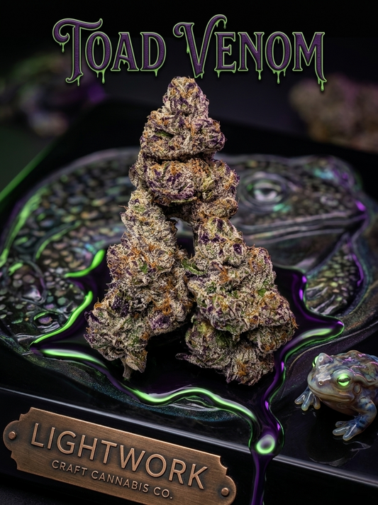 LightWork: Toad Venom : 14g Indoor Exotic Bigs