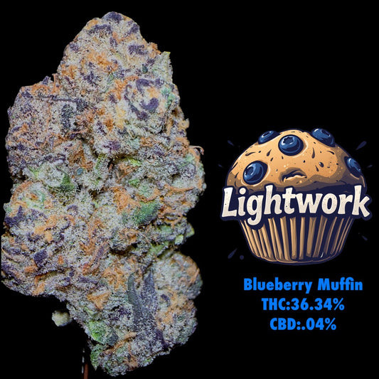 LIGHTWORK EXCLUSIVE / BLUEBERRY MUFFINS / 7G EXOTIC INDOOR BIGS