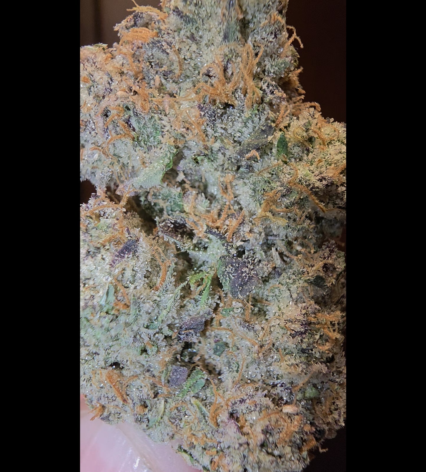 LightWork - Platinum Beltz - 14g Exotic Indoor Flower