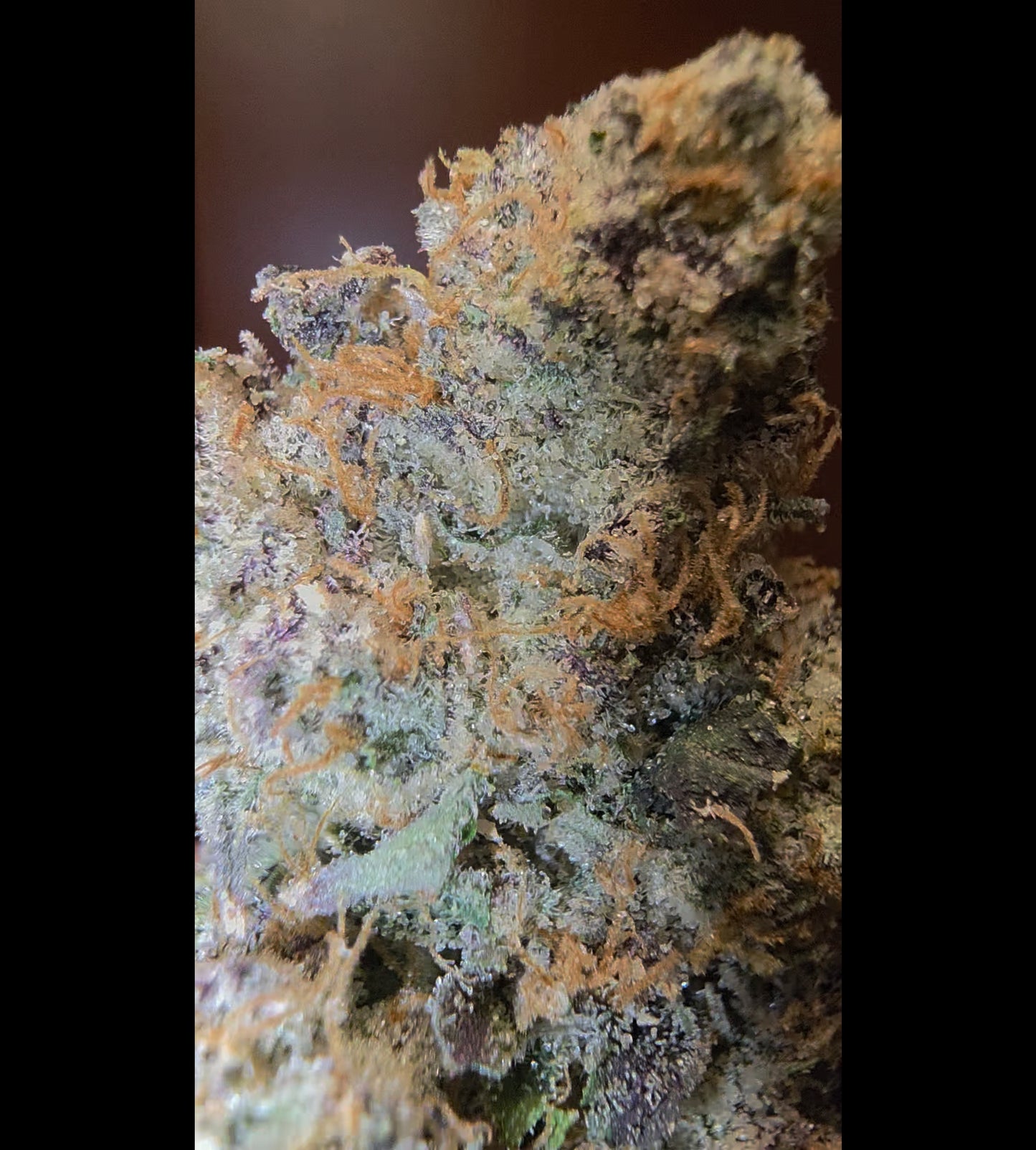 LightWork - Platinum Beltz - 14g Exotic Indoor Flower