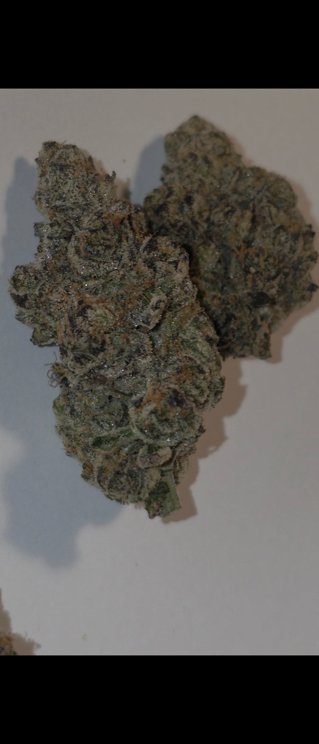 LightWork - Gelato Mintz - 14g Indoor Exotic Flower (BIGS)