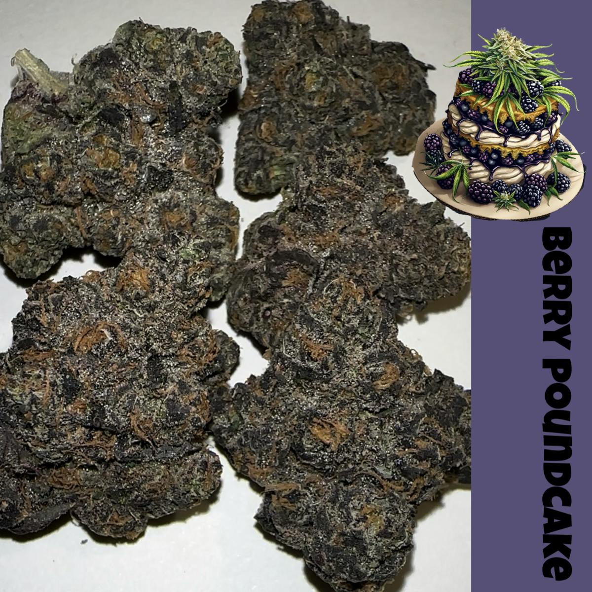 LIGHTWORK EXCLUSIVE/ VERY BERRY POUND CAKE / 3.5G INDOOR EXOTIC BIGS