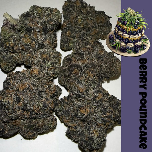 LIGHTWORK EXCLUSIVE/ VERY BERRY POUND CAKE / 3.5G INDOOR EXOTIC BIGS