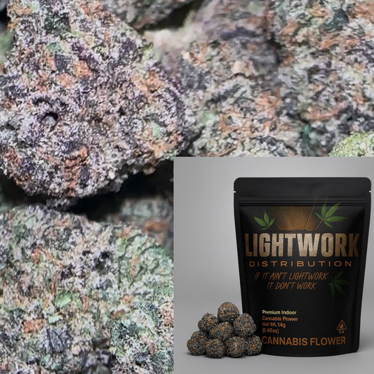 LIGHTWORK / GELATO 41 / 14G INDOOR EXOTIC SMALLS