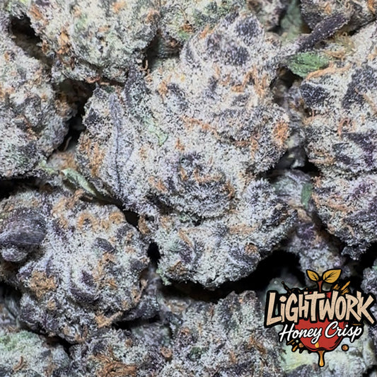 LIGHTWORK / HONEY CRISP / 14G EXOTIC INDOOR SMALLS