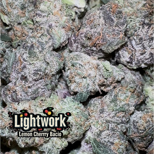 LIGHTWORK / LEMON CHERRY BACIO / 14G EXOTIC INDOOR SMALLS